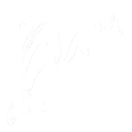 /var/www/media/designproduct/galleries/ABUSCLE/Image/animal-dauphin.png