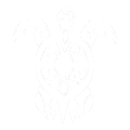 /var/www/media/designproduct/galleries/ABUSCLE/Image/animal-tortue.png