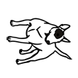 /var/www/production/pictilo/magento/media/designproduct/galleries/BodumTM35/Image/animal-chien2.png