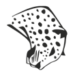 /var/www/production/pictilo/magento/media/designproduct/galleries/BodumTM35/Image/animal-leopard.png
