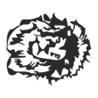 /var/www/production/pictilo/magento/media/designproduct/galleries/BodumTM35/Image/animal-lion1.png
