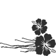 /var/www/production/pictilo/magento/media/designproduct/galleries/BodumTM35/Image/floral4.png