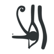 /var/www/media/designproduct/galleries/BodumTM35/Image/sigle-oeilegyptien.png